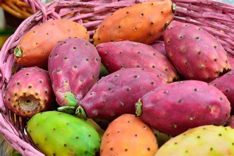 Figo da Índia fruta: 40 benefícios, informação nutricional e .
